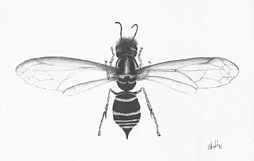 Small bee - Bee by Stuart Arnett